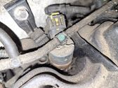 Injecteur de carburant