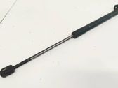Tailgate/trunk strut/damper