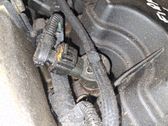 Inyector de combustible
