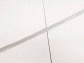 Rear door glass trim molding