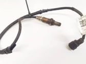 Sonde lambda