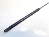 Tailgate/trunk strut/damper