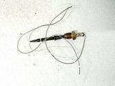 Sensor de temperatura del escape