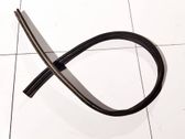 Rubber seal front coupe door