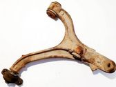 Front lower control arm/wishbone