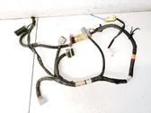 Other wiring loom
