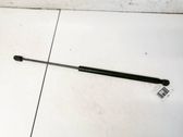 Takaluukun tuen kaasujousi
