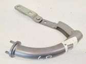 Tailgate/trunk/boot hinge