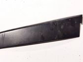 Other rear door trim element