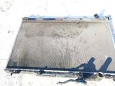 Wasserkühler