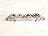 Takapuskurin kannake