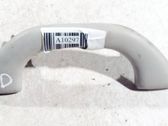 Front interior roof grab handle