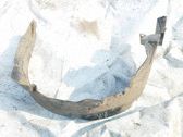 Revestimientos de la aleta antisalpicaduras delanteros