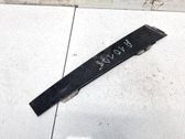 Listón embellecedor de la ventana de la puerta delantera
