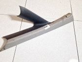 Verkleidung C-Säule