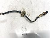 Lambda probe sensor