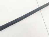 Front door glass trim molding