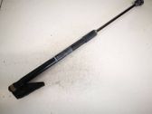 Tailgate/trunk strut/damper
