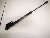 Tailgate/trunk strut/damper