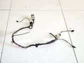 Other wiring loom