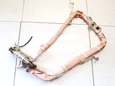 Roof airbag