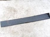 Listón embellecedor de la puerta delantera (moldura)