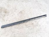 Listón embellecedor de la puerta delantera (moldura)