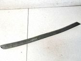 Listón embellecedor de la puerta delantera (moldura)