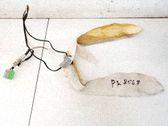 Sitzheizung