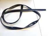 Rubber seal front coupe door