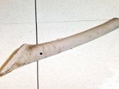 Verkleidung C-Säule