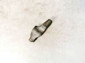 Bridă fixare injector