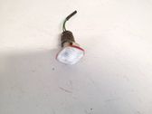 Seitenblinker