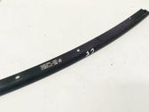 Rear door glass trim molding