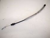 Front door cable line