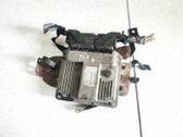 Unidad de control/módulo del motor