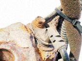 ABS Sensor hinten