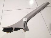 (C) pillar trim