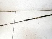 Tailgate/trunk strut/damper