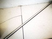 Moulure de vitre de la porte avant
