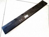 Listón embellecedor de la puerta delantera (moldura)