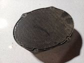 Front door speaker