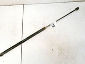 Takaluukun tuen kaasujousi