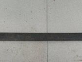 Rear door trim (molding)