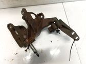 Soporte de montaje del motor (Usadas)