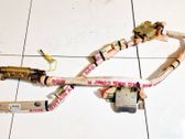 Надувная подушка для крыши