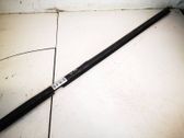 Rear door glass trim molding