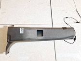 Pilar (B) (superior)