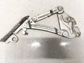 Bisagras del capó/tapa del motor