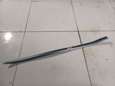 Front door trim (molding)